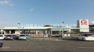 【周辺】 | グラスハイツ盛兼Ｂ | コメリ高松香南店さんまで1300m