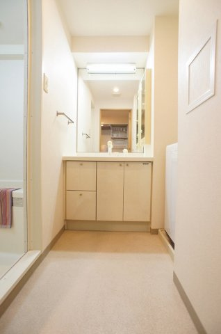 スカイコート高輪の洗面所