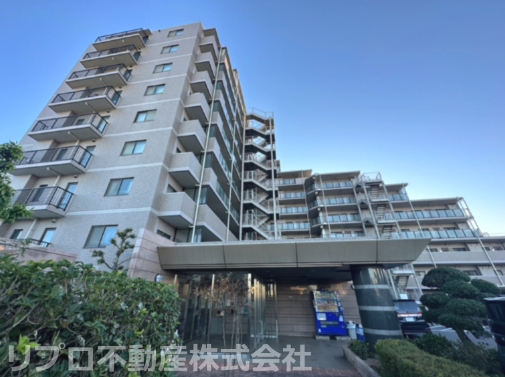 ベルドゥムール鎌ヶ谷初富