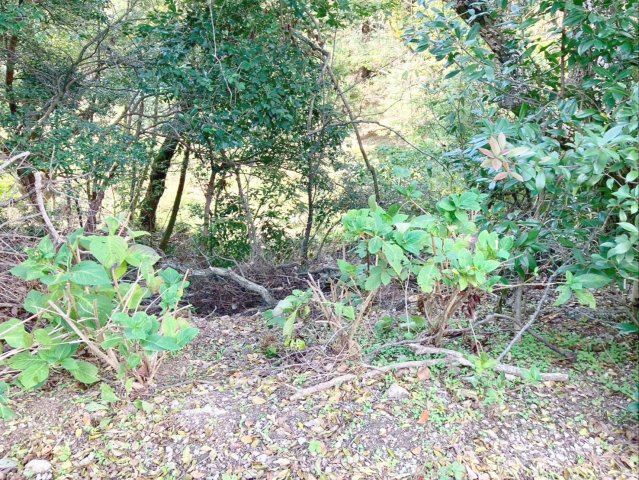 糟屋郡須惠町大字須惠　土地