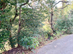 糟屋郡須惠町大字須惠　土地