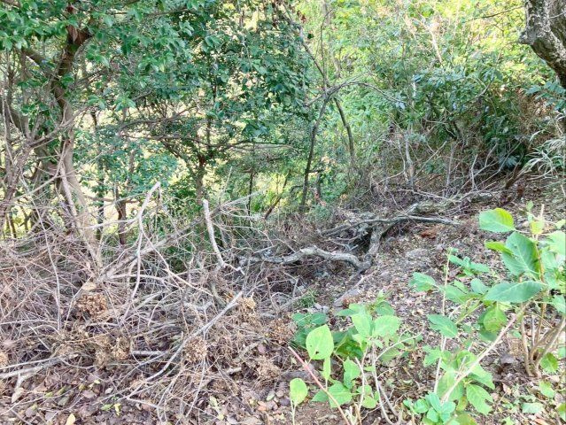 糟屋郡須惠町大字須惠　土地の外観|土地面積552ｍ2（約166.98坪）の広々とした土地！