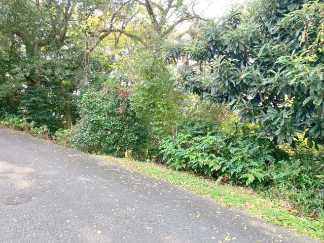 糟屋郡須惠町大字須惠　土地の外観|現地の様子です！