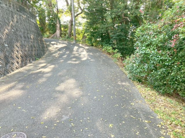 糟屋郡須惠町大字須惠　土地の外観|前面道路幅員：約4.8ｍ