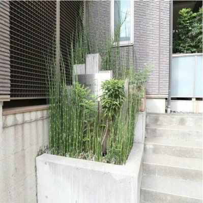 【その他共用部分】 | マ・メゾン大倉山