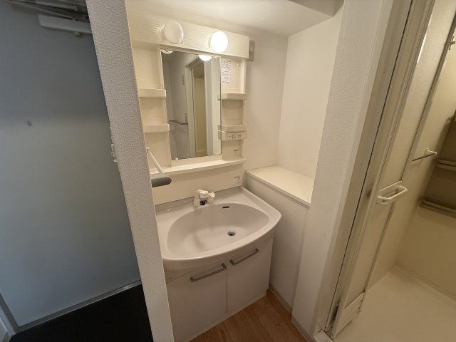 ラフィネ豊中南の洗面所