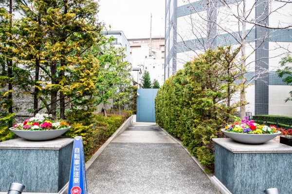 【周辺】 | 【周辺】マンション横の通路です。まっすぐに伸びた木々が、やわらかにセキュリティラインを構成します。