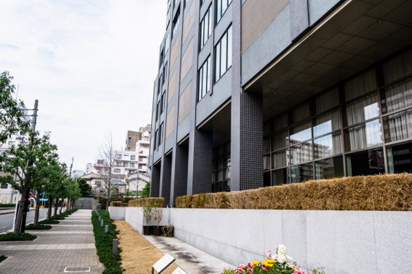 【周辺】 | 【周辺】マンション周辺の歩道も、綺麗に整備されています◎心地よい並木道です！