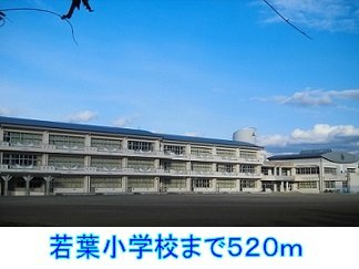 サンライズＡの周辺|若葉小学校まで520m