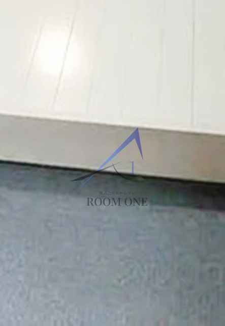 イルビラージュ錦糸町の玄関|玄関です。