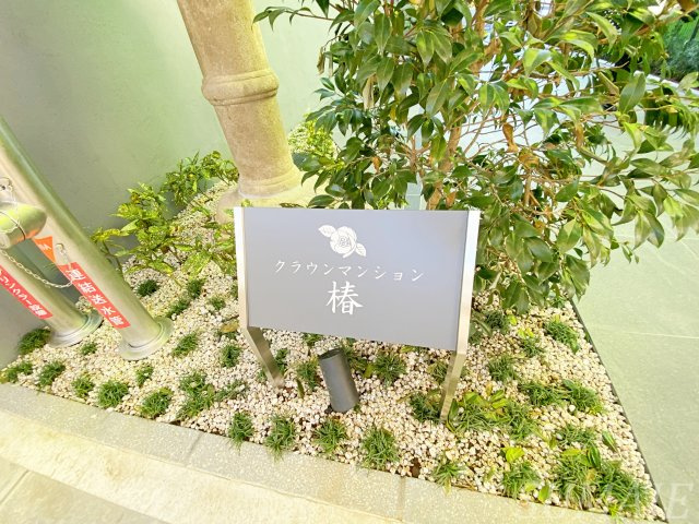 クラウンマンション椿の外観|物件の外観です☆