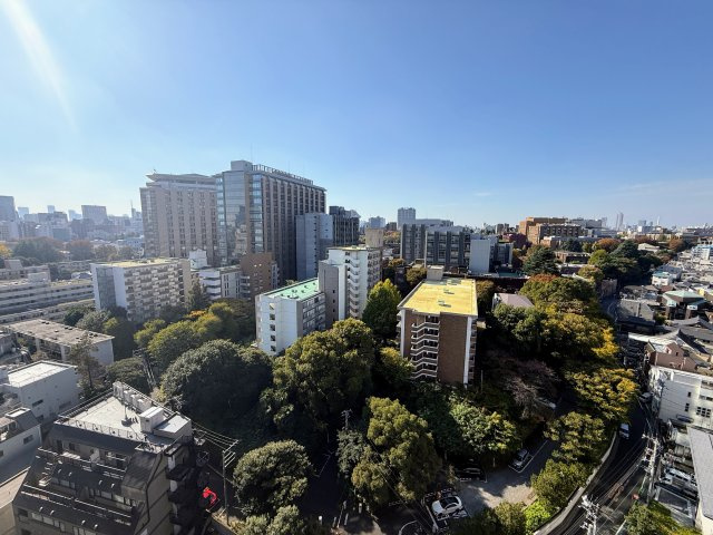 パークタワー上野池之端 14Fの展望