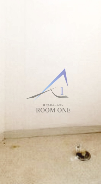 シュロスカーの設備|洗濯機置き場です。