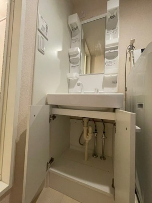 【内装】 | レオネクストルーエ | 洗面所下収納