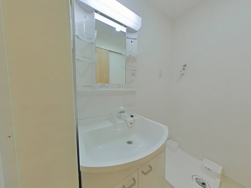 入間セイワレジデンスⅡの洗面所