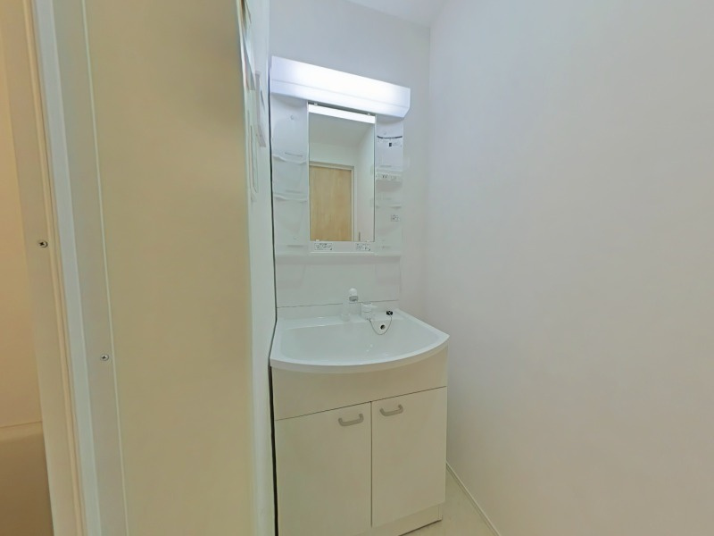 入間セイワレジデンスⅡの洗面所