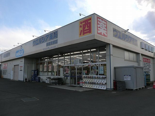 アンジュの周辺|ウエルシア前橋青柳店まで1300m