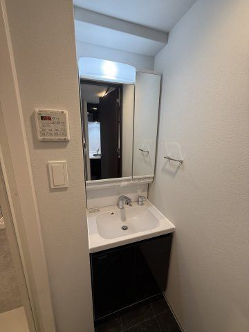 S-RESIDENCE大和田alineの洗面所