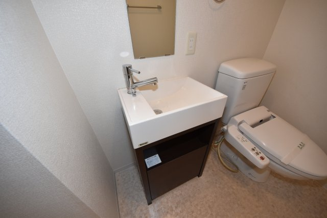 レオンコンフォート難波西の洗面所