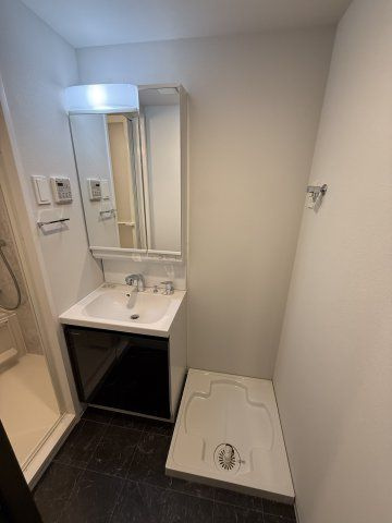 S-RESIDENCE大和田alineの洗面所