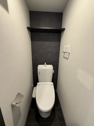 S-RESIDENCE大和田alineのトイレ