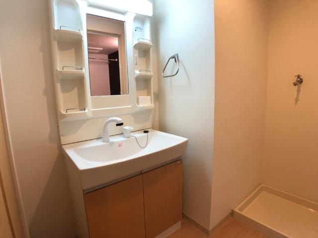 フレアマンションⅡの洗面所