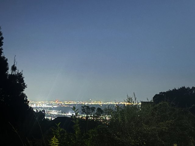 鷲林寺南町　売土地の展望|夜には、無数の灯りが宝石のように瞬き、心を穏やかに包み込みます