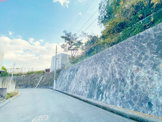 鷲林寺南町　売土地の前面道路含む現地写真|東側道路