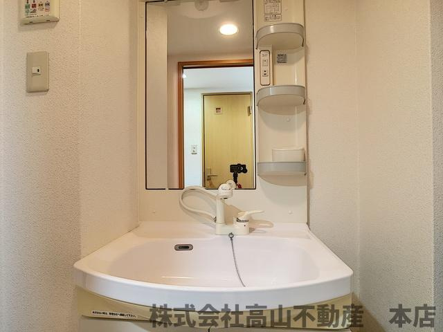 ロイヤルシティ自由ヶ丘の独立洗面台