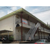 エンゼル杉田の画像