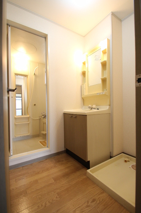 ラ･モール津島の洗面所