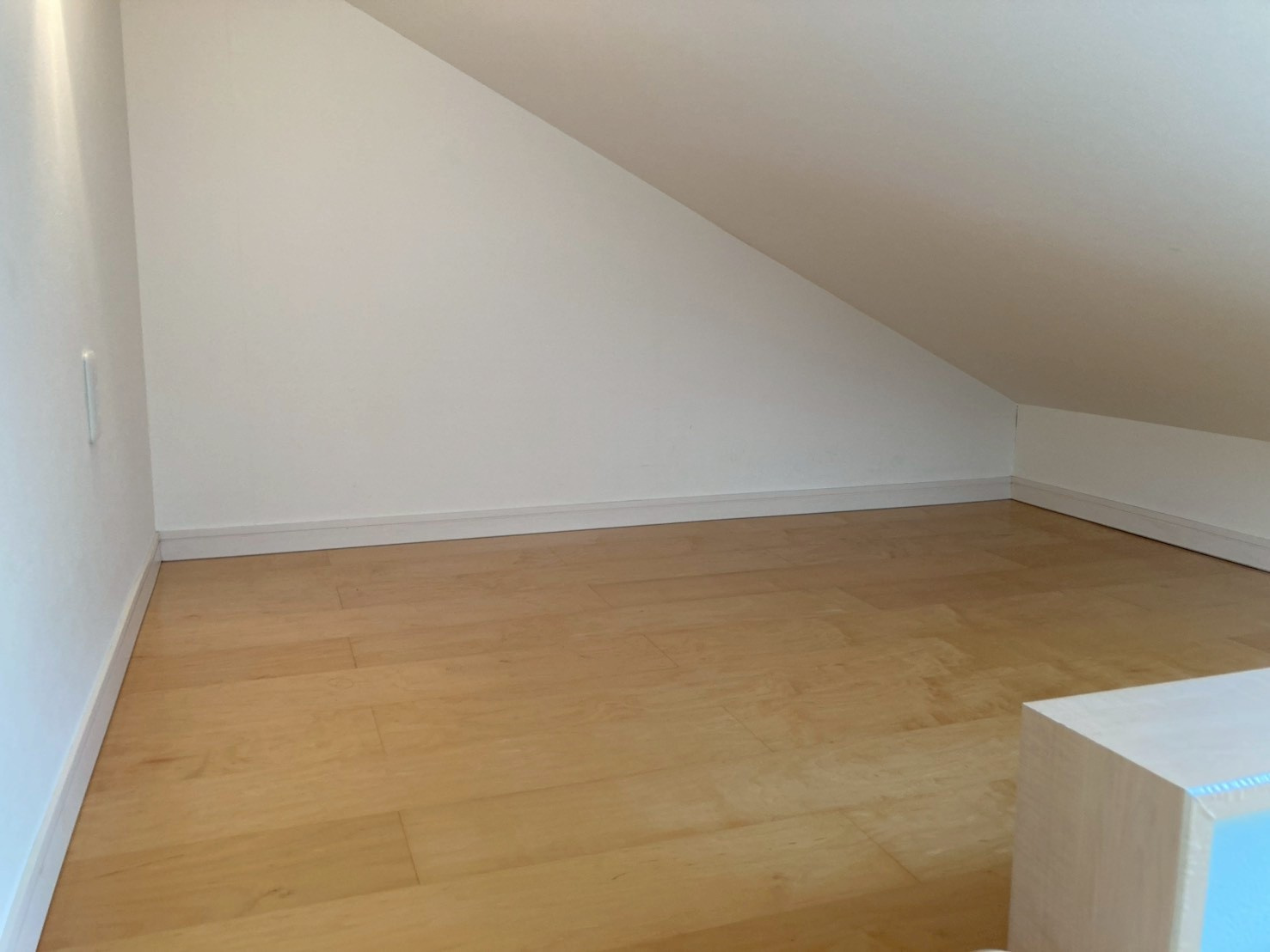 【その他】の画像