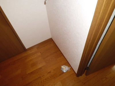 【その他】 | パルティールT