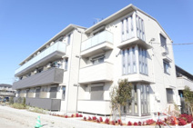 Rock villageの画像