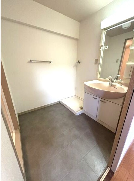 ラ・メゾン桜の洗面所