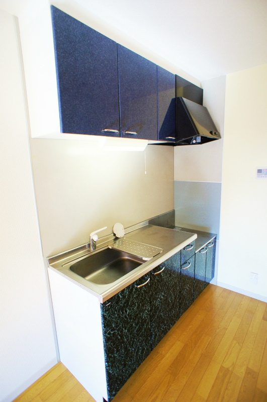 グリーンパーク大善寺II【キャッシュバック対象】のキッチン|お料理しやすいキッチンです