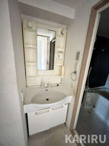 ドリームネオポリス桜ノ宮の洗面所|スペースが確保できる洗面所です