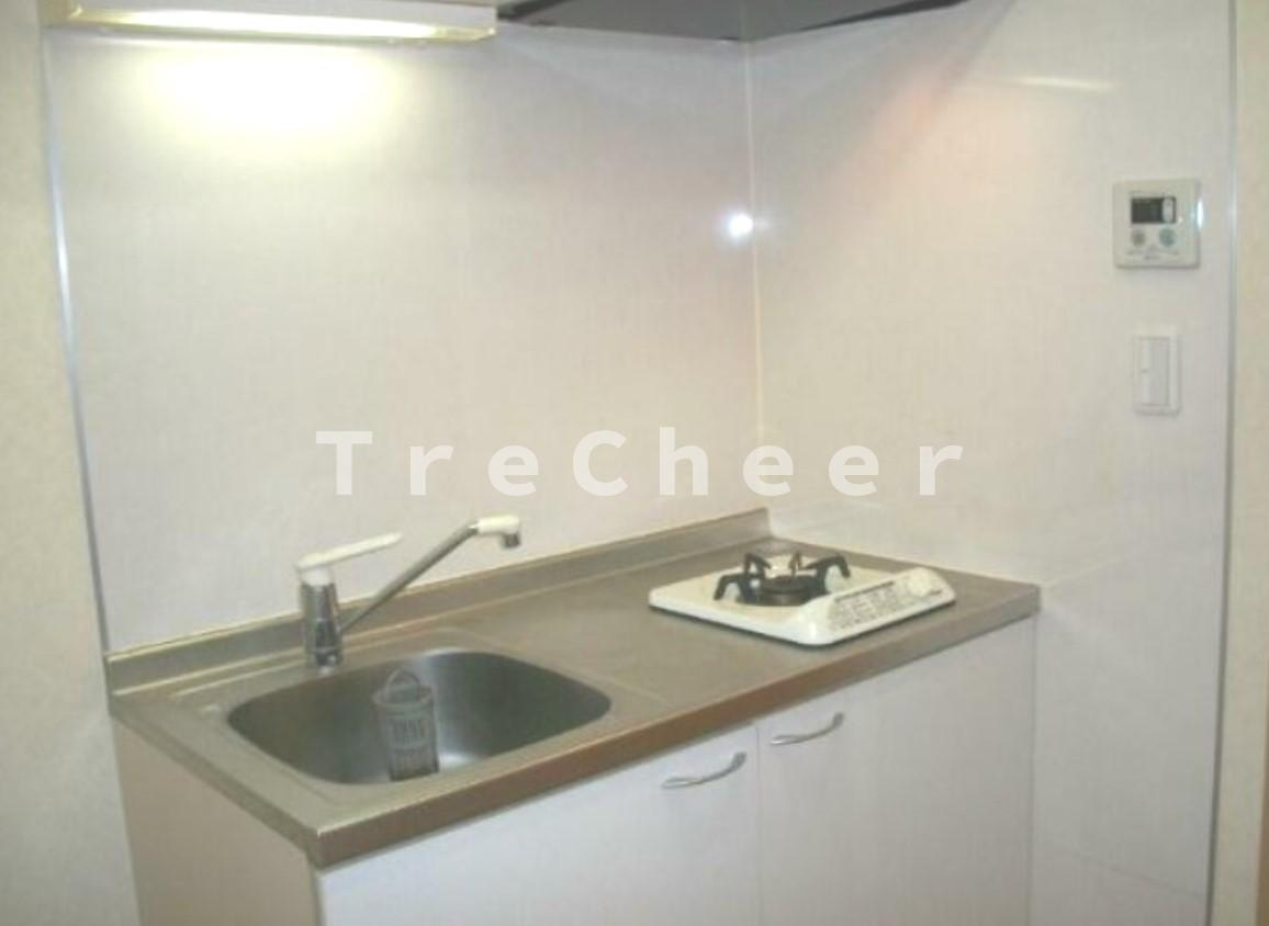 アドニスＫ(Adonis K)のキッチン