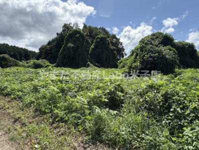 【外観】 | 米子市福万土地