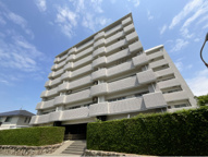 サンシャイン正山の画像