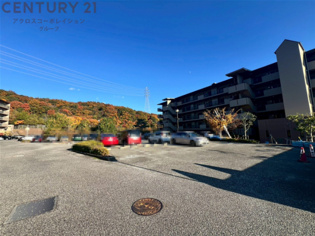 平面駐車場