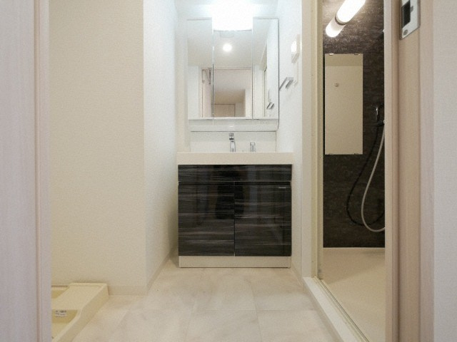 コンフォリア・リヴ新大阪WESTの洗面所