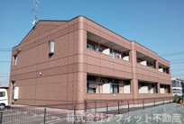 アマーレゆかりの画像