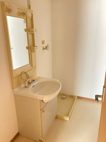 柏崎市西山町鬼王の賃貸マンションの洗面所