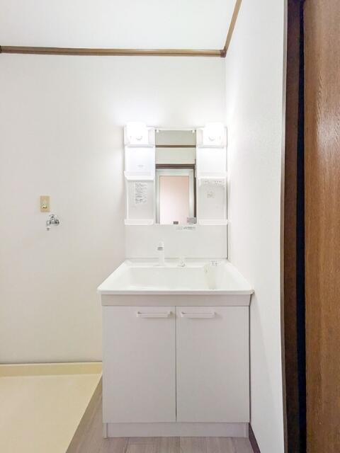 サングリーンハイツの洗面所