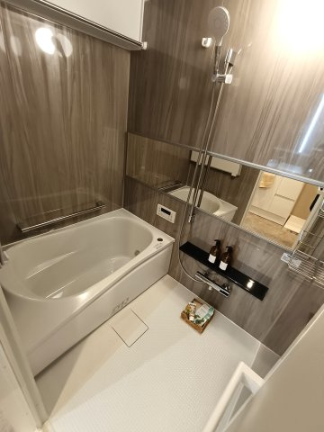 ライフペリエ三郷のエントランス|エントランスです