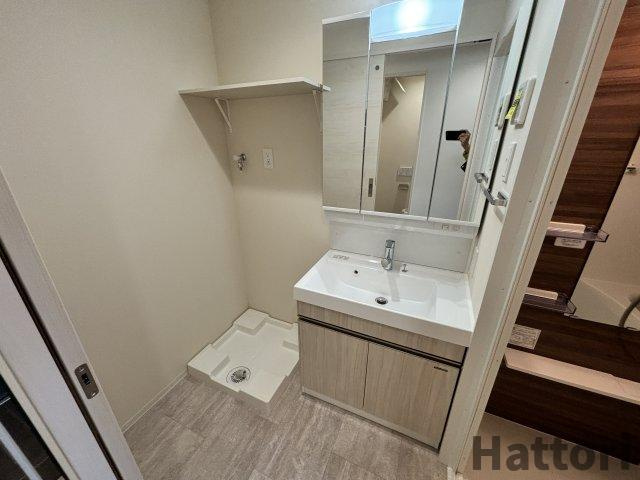 エメルミナ豊中岡町の洗面所