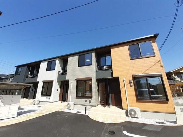 フェリス　ガト　Ｂ