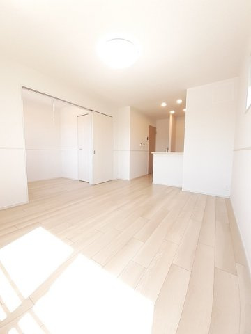 フェリス　ガト　Ｂのその他