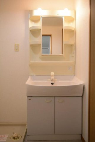 サニーグランデの洗面所